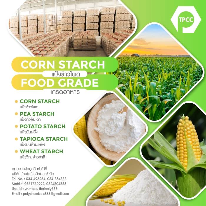 แป้งข้าวโพดไทย, แป้งข้าวโพดจีน, แป้งข้าวโพดอินเดีย, Corn Starch, แป้งข้าวโพด, คอร์นสตาร์ช, Thailand Cornstarch